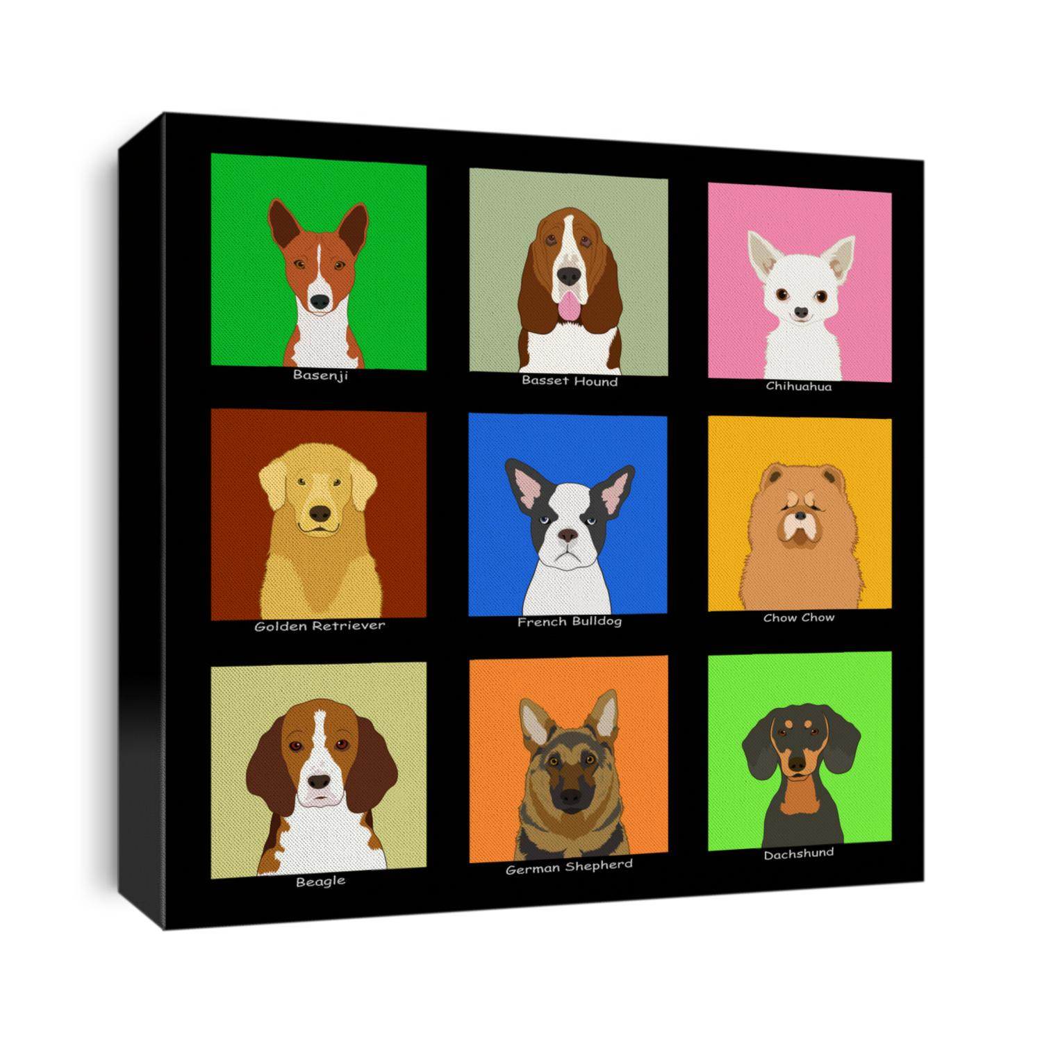 The buddy dog, Collection 02
