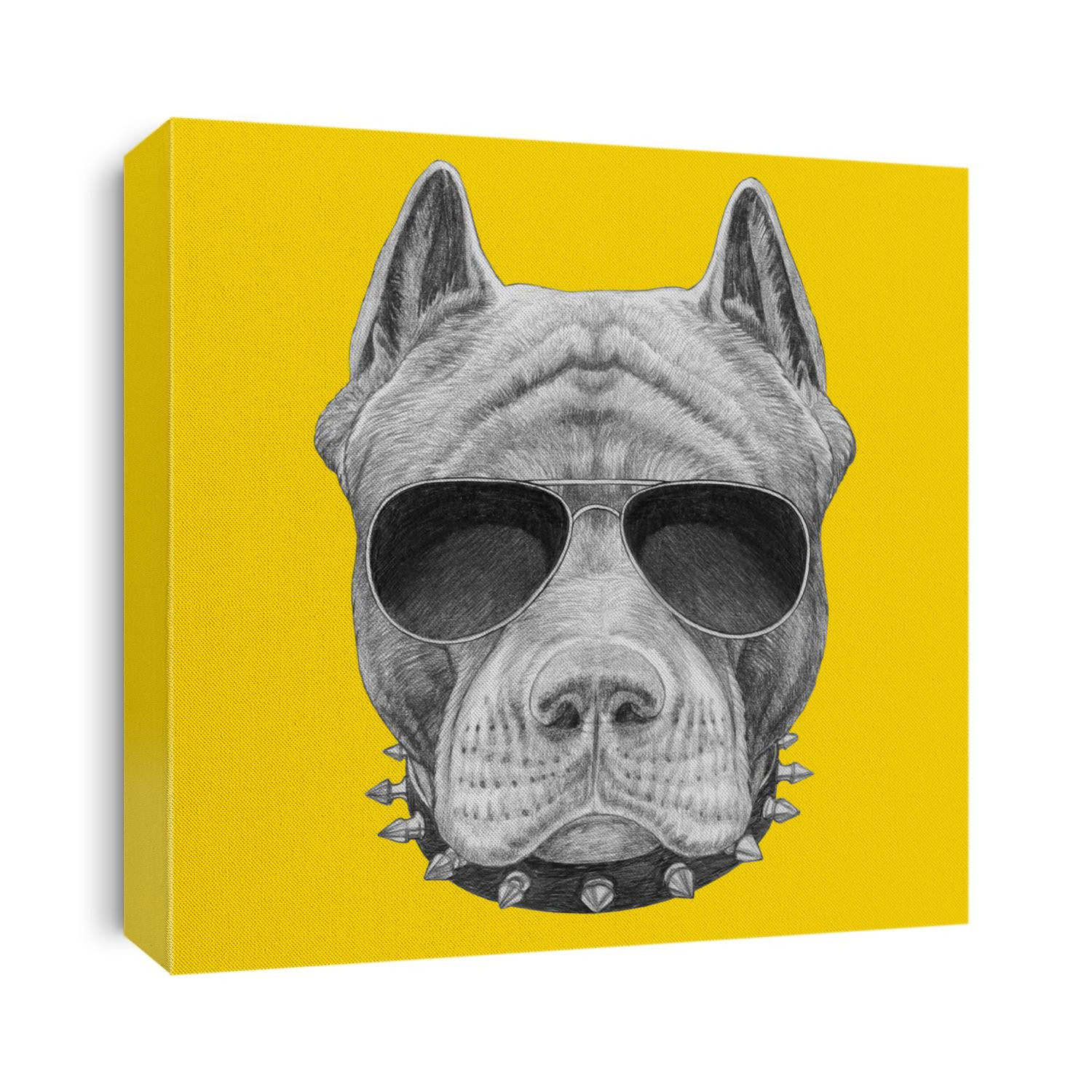 Portrait of Pit Bull with glasses and scarf. Hand-drawn illustration.