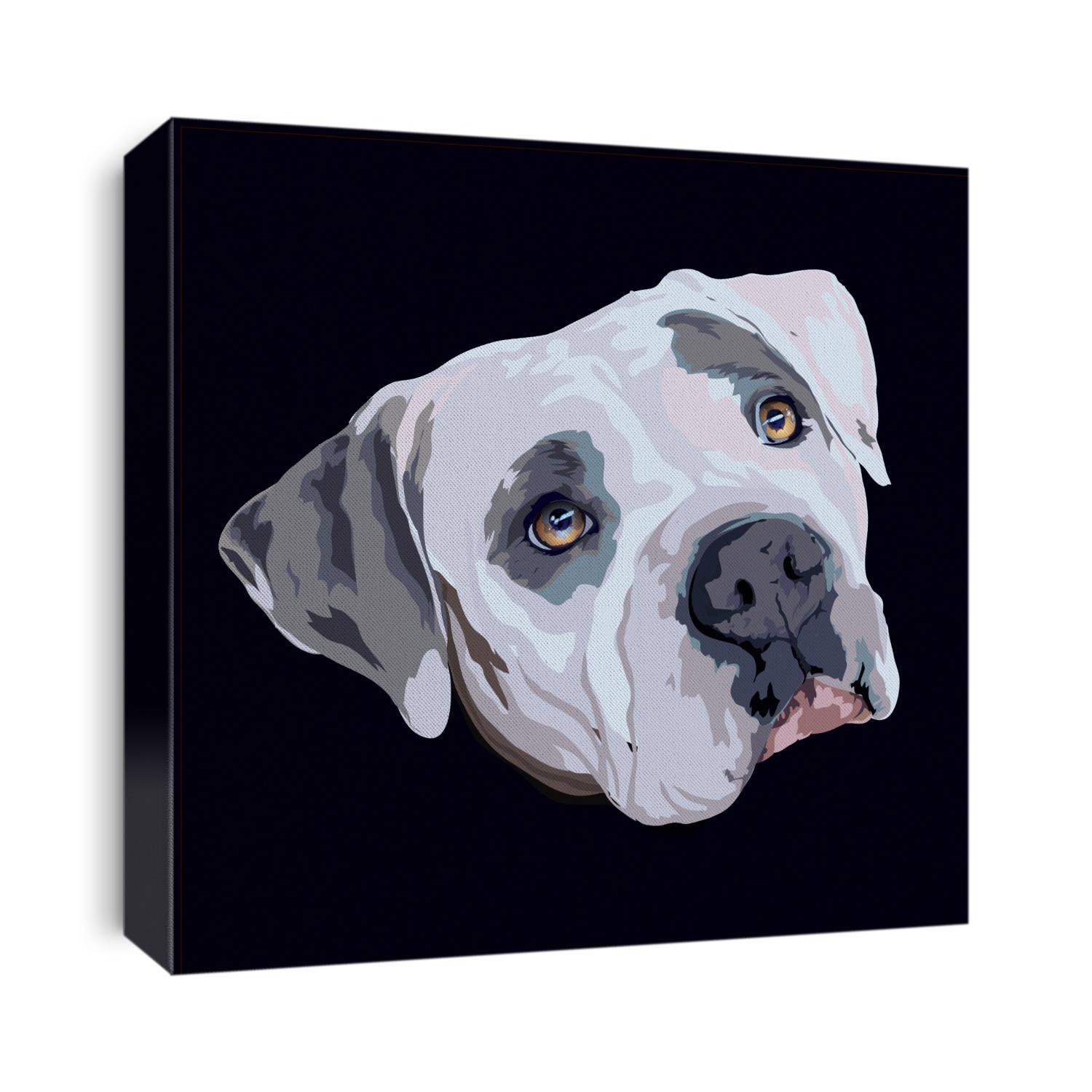 Pit bull portrait