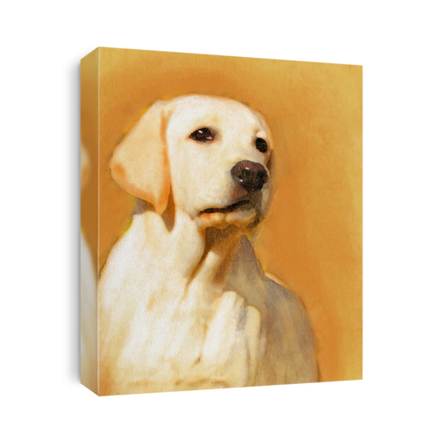 A young yellow labrador oil portrait