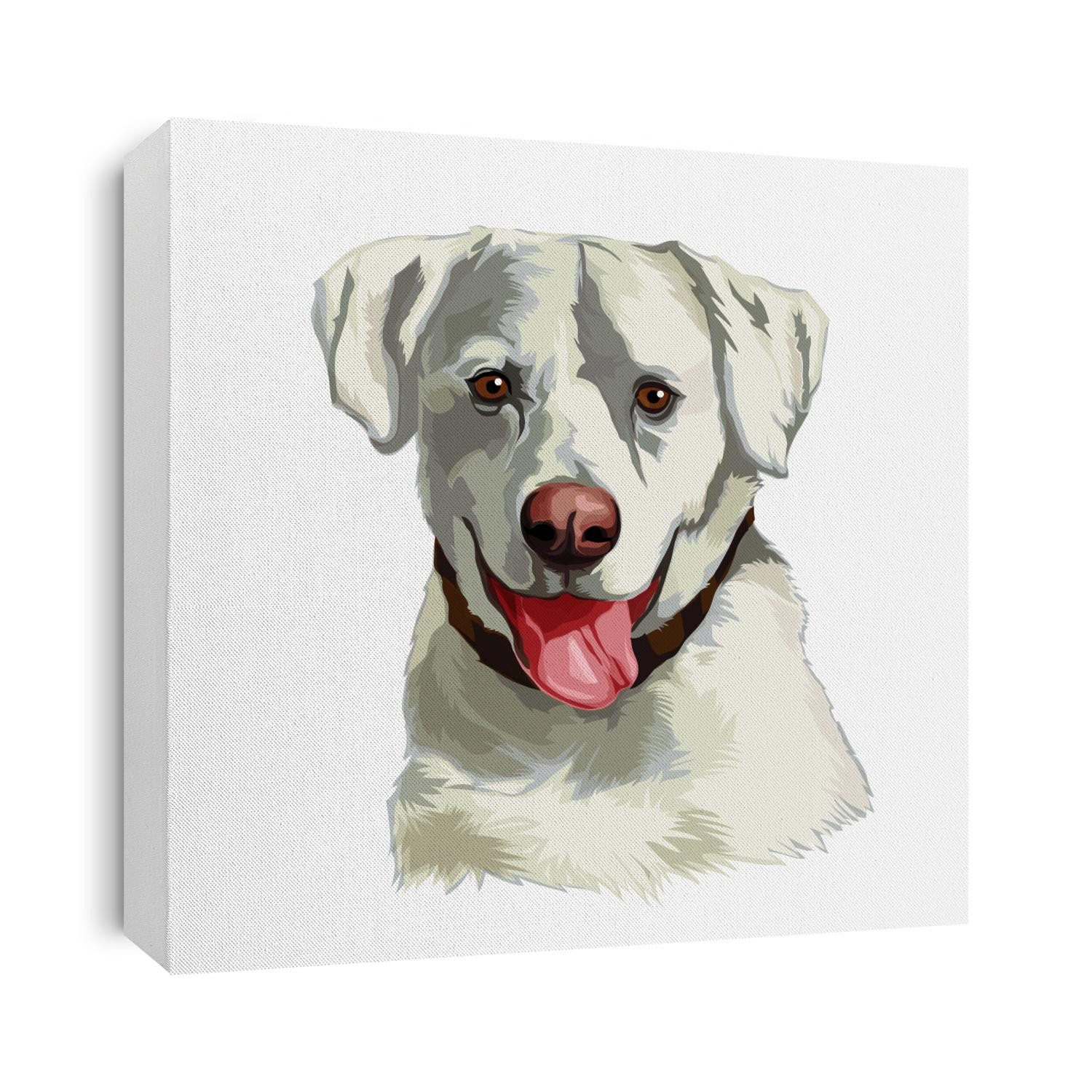 The head of a white Labrador Retriever dog. Vector illustration of an animal on a transparent background.