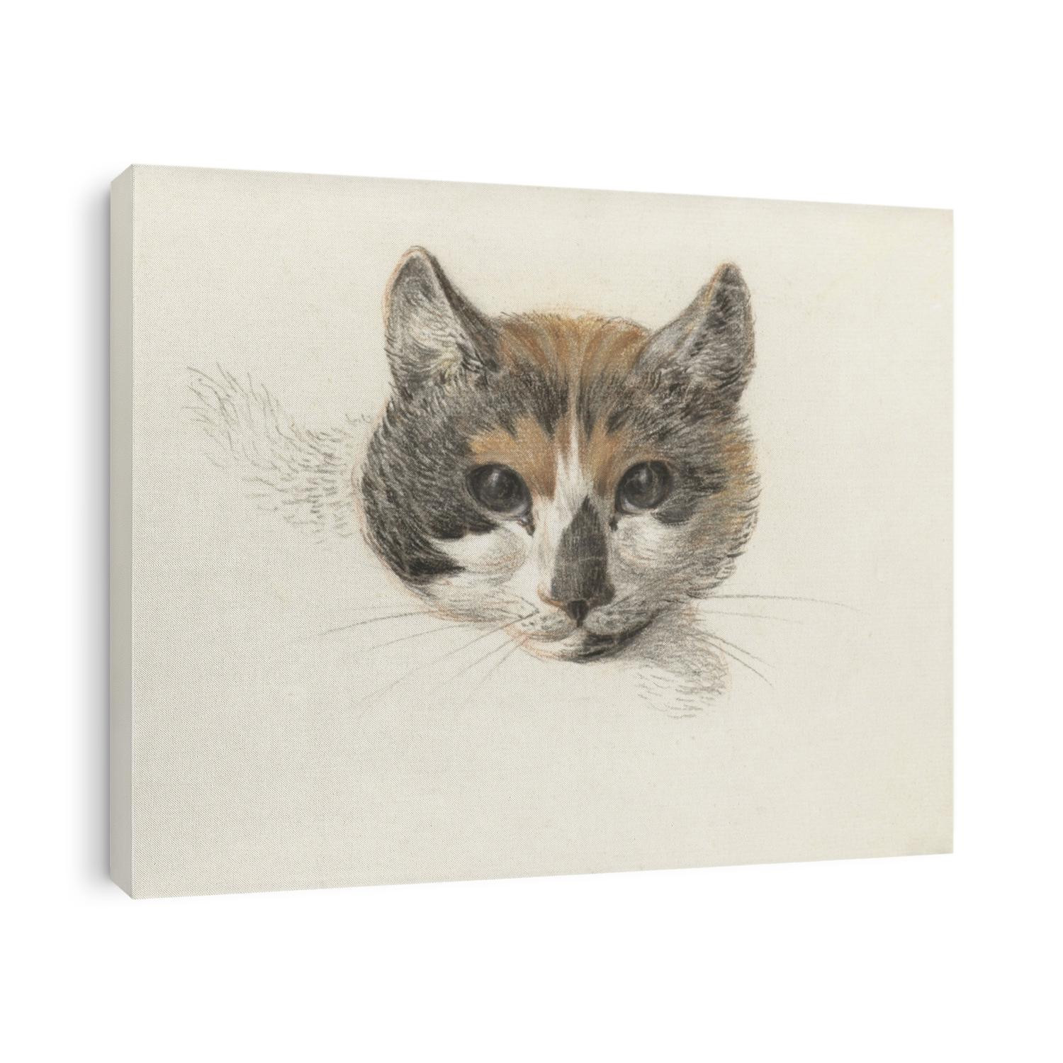 Head of a Calico Cat From the Front, with Open Eyes, by Jean Bernard, Dutch chalk and pencil drawing.
