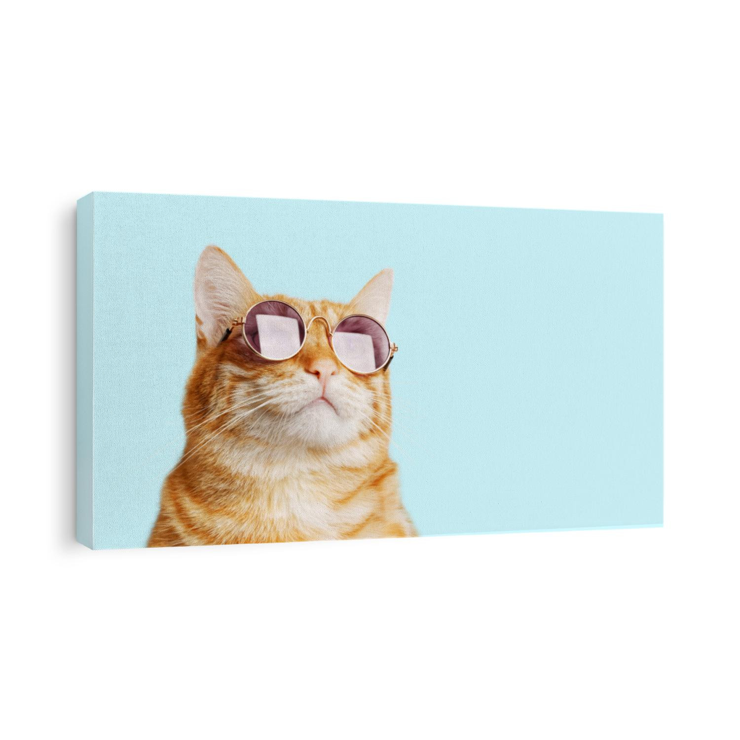 Closeup portrait of funny ginger cat wearing sunglasses isolated on light cyan. Copyspace.
