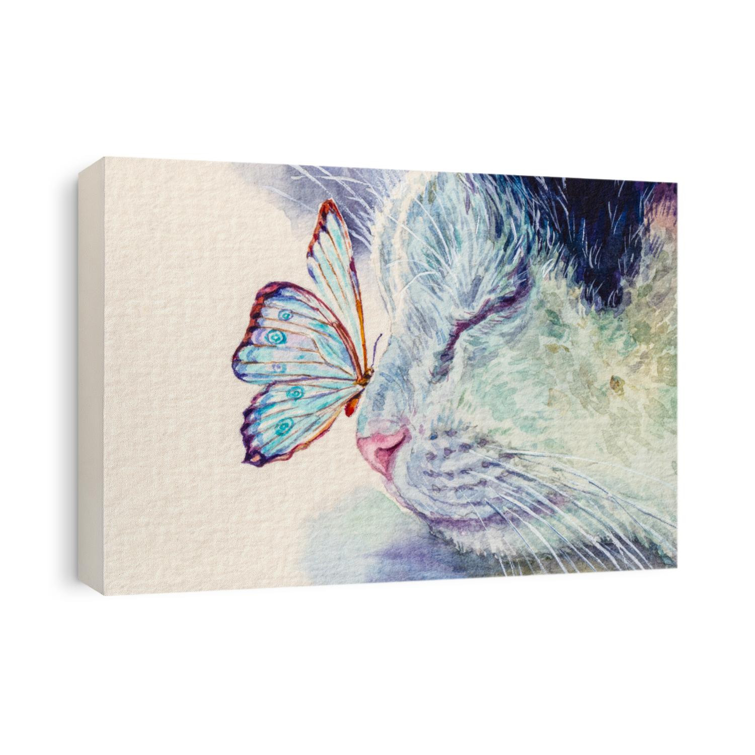 Cat and butterfly on nose. Cute kitten sleeping with insect. Home pet. Watercolor painting.
