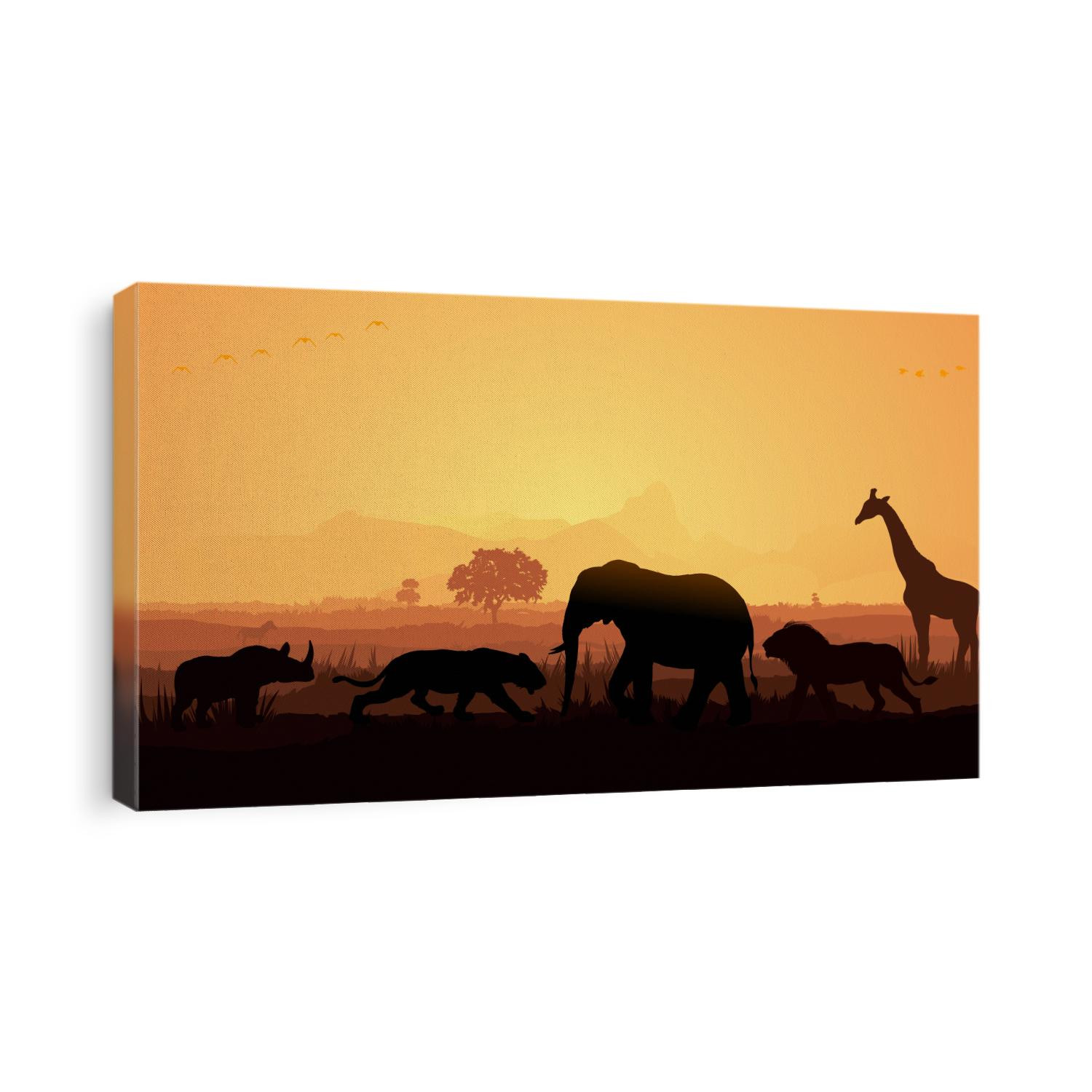 Animals in forest