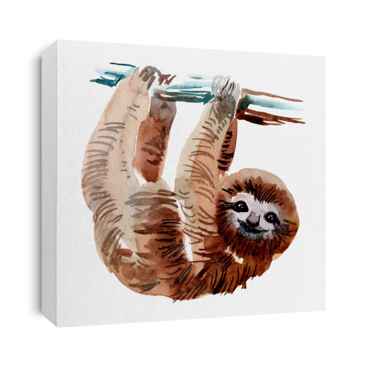 Beautiful watercolor sloth monkey. Hand drawn illustration. Jungle exotic tropical animal.