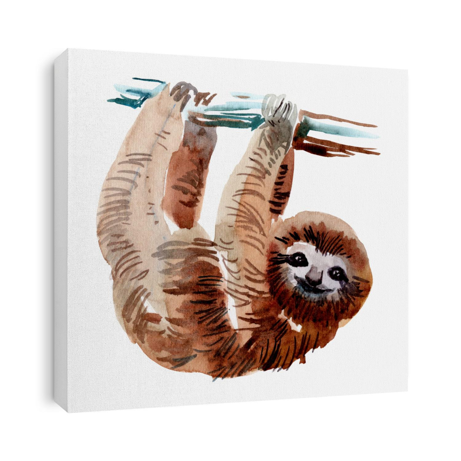 Beautiful watercolor sloth monkey. Hand drawn illustration. Jungle exotic tropical animal.