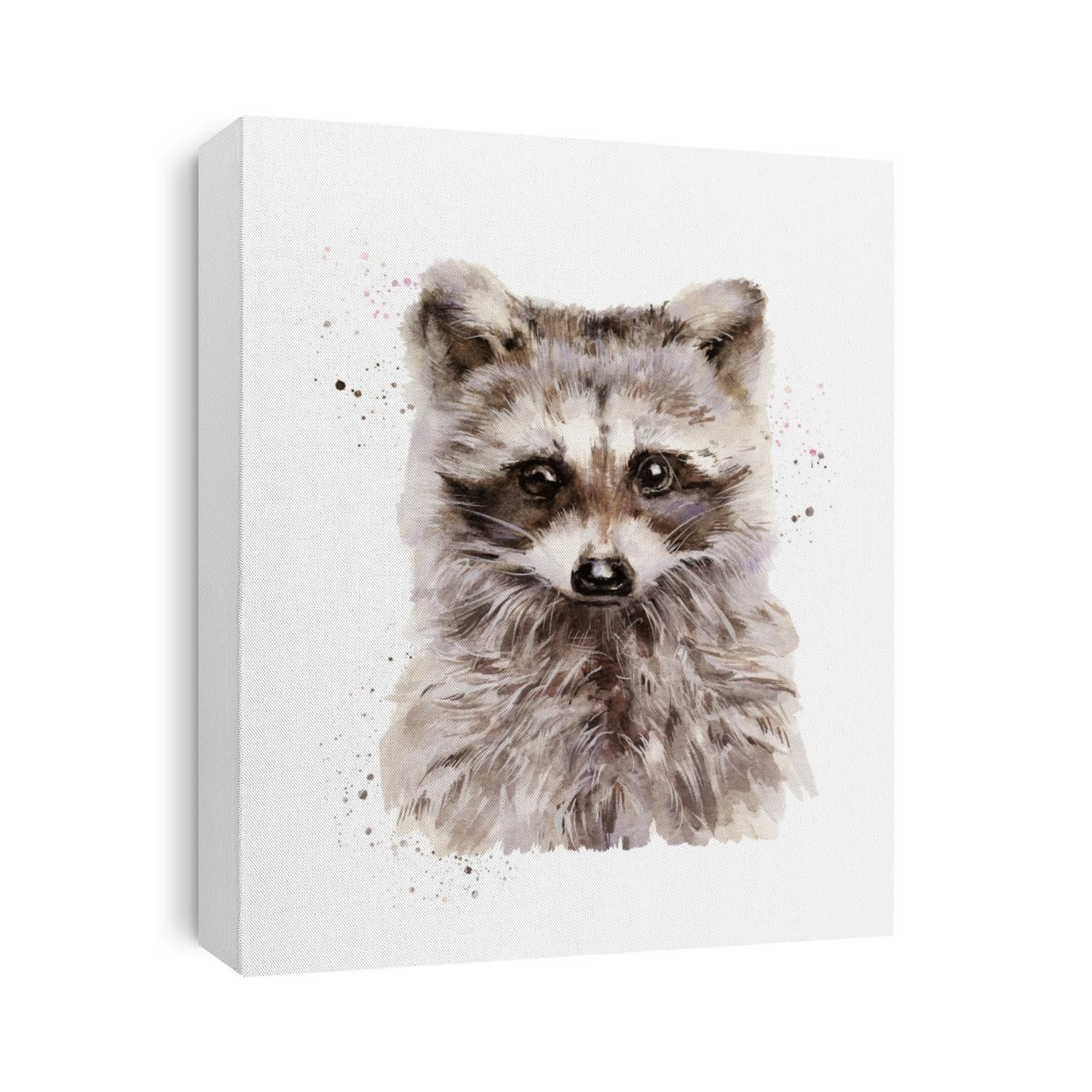 Raccoon watercolor illustration painting isolated on white background