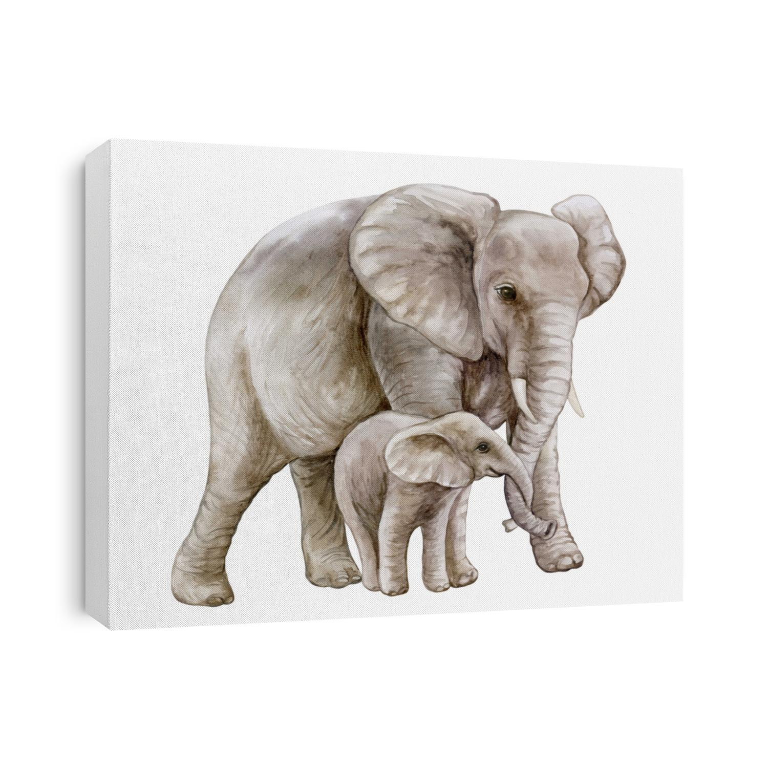 African elephant with a child. Mom and baby. Family isolated on white background. Watercolor. Illustration. Motherhood, childhood