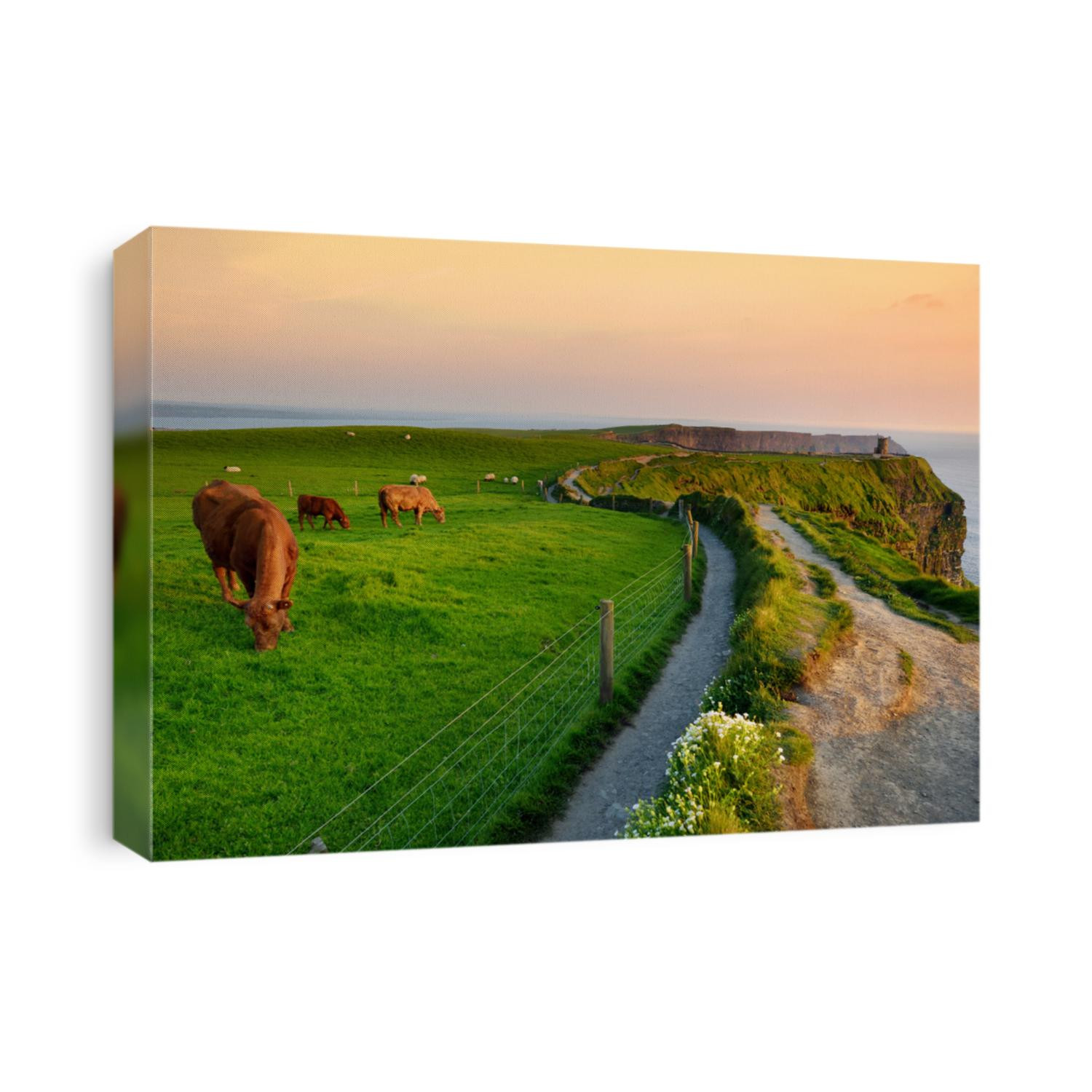 World famous Cliffs of Moher, one of the most popular tourist destinations in Ireland. Beautiful view of widely known tourist attraction on Wild Atlantic Way in County Clare.