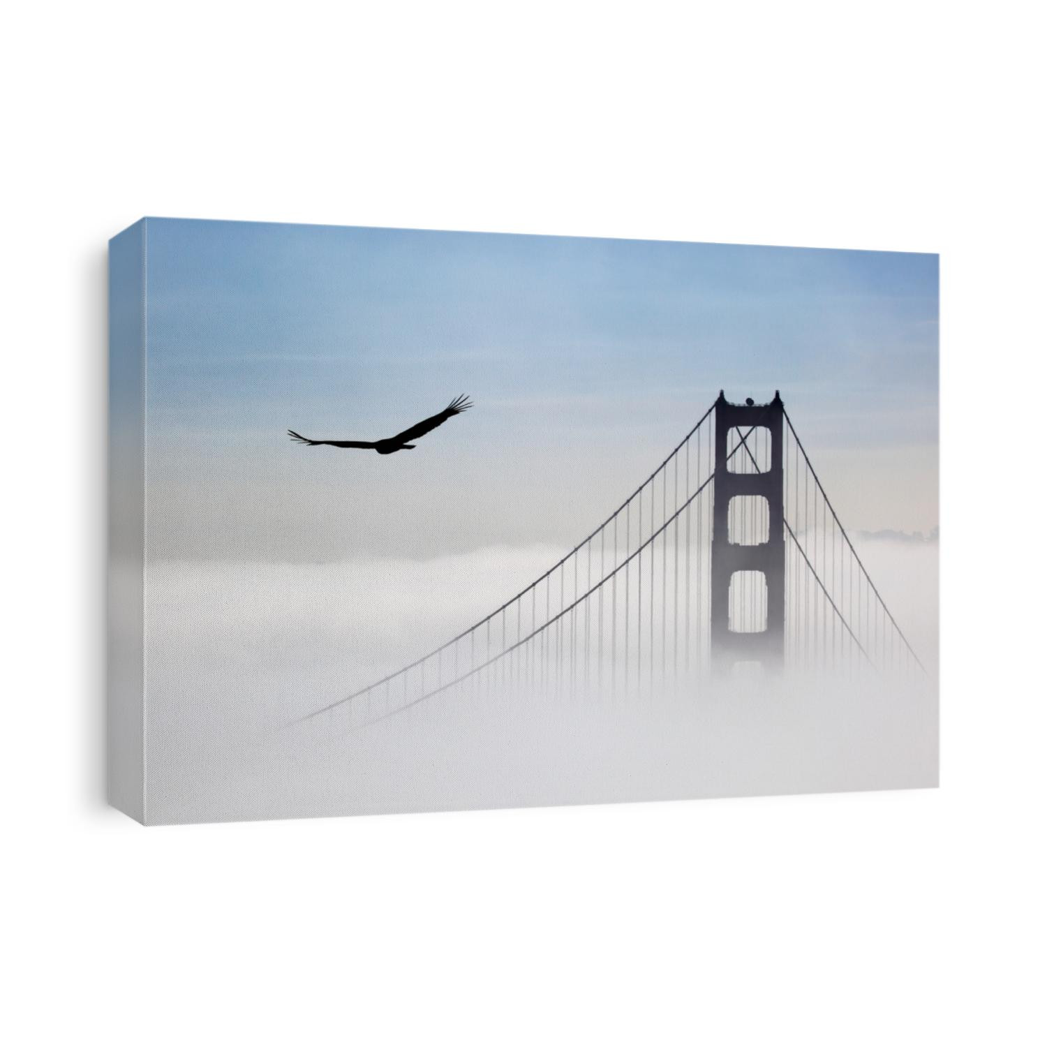Eagle and Golden Gate Bridge, San Francisco, California