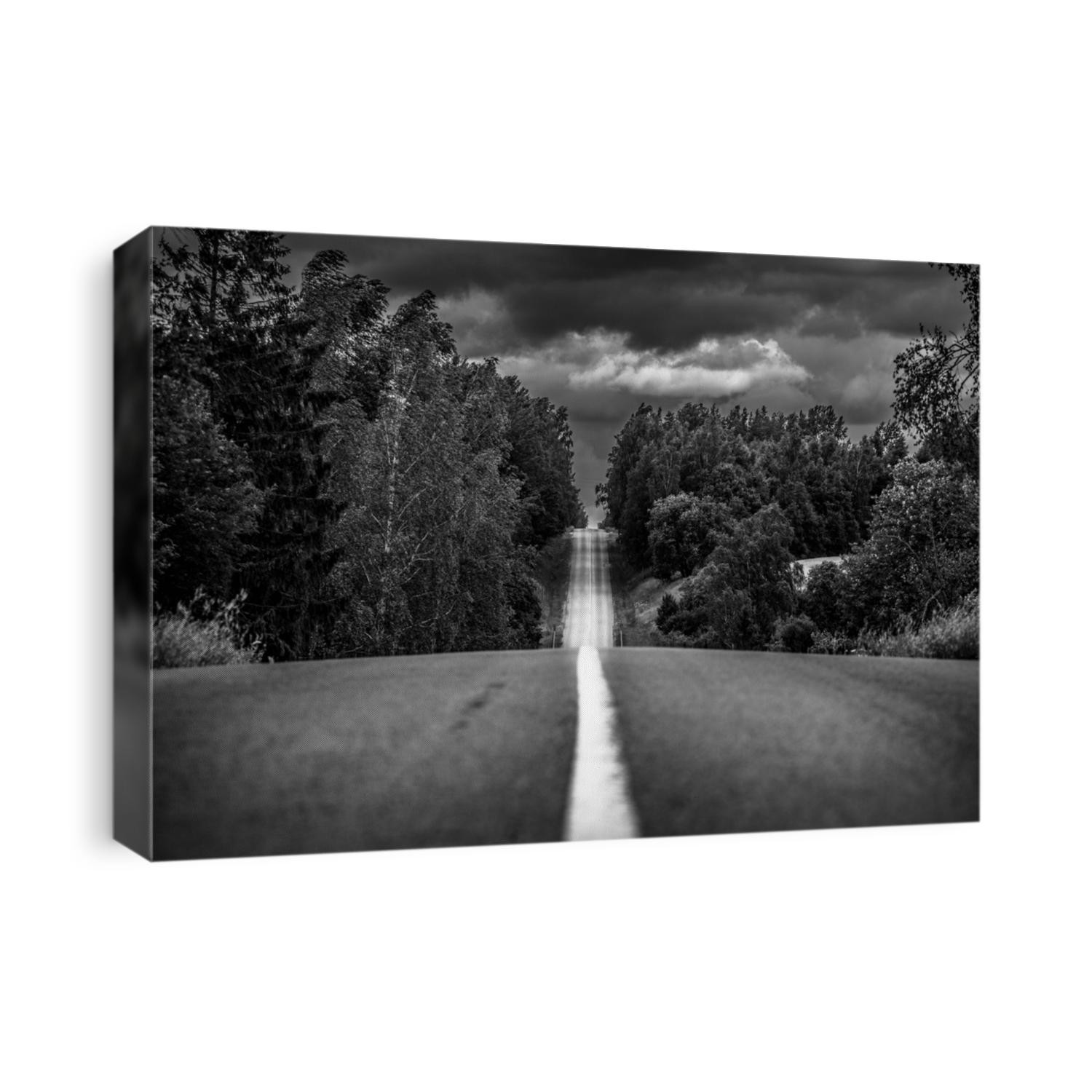 Tree black silhouettes and white snow. Street view through old forest. Road view. Long road