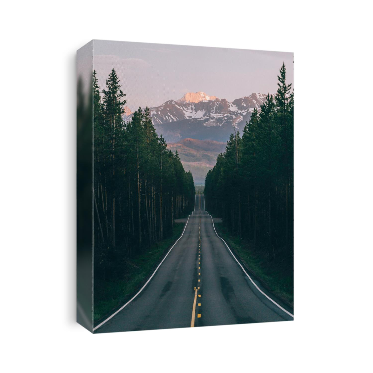 An open road leads to the Grand Teton's mountain range, rising in the distance beyond a thick pine forest. The last rays of sunlight shine on the mountain. Photo shot vertically to include more road. 
