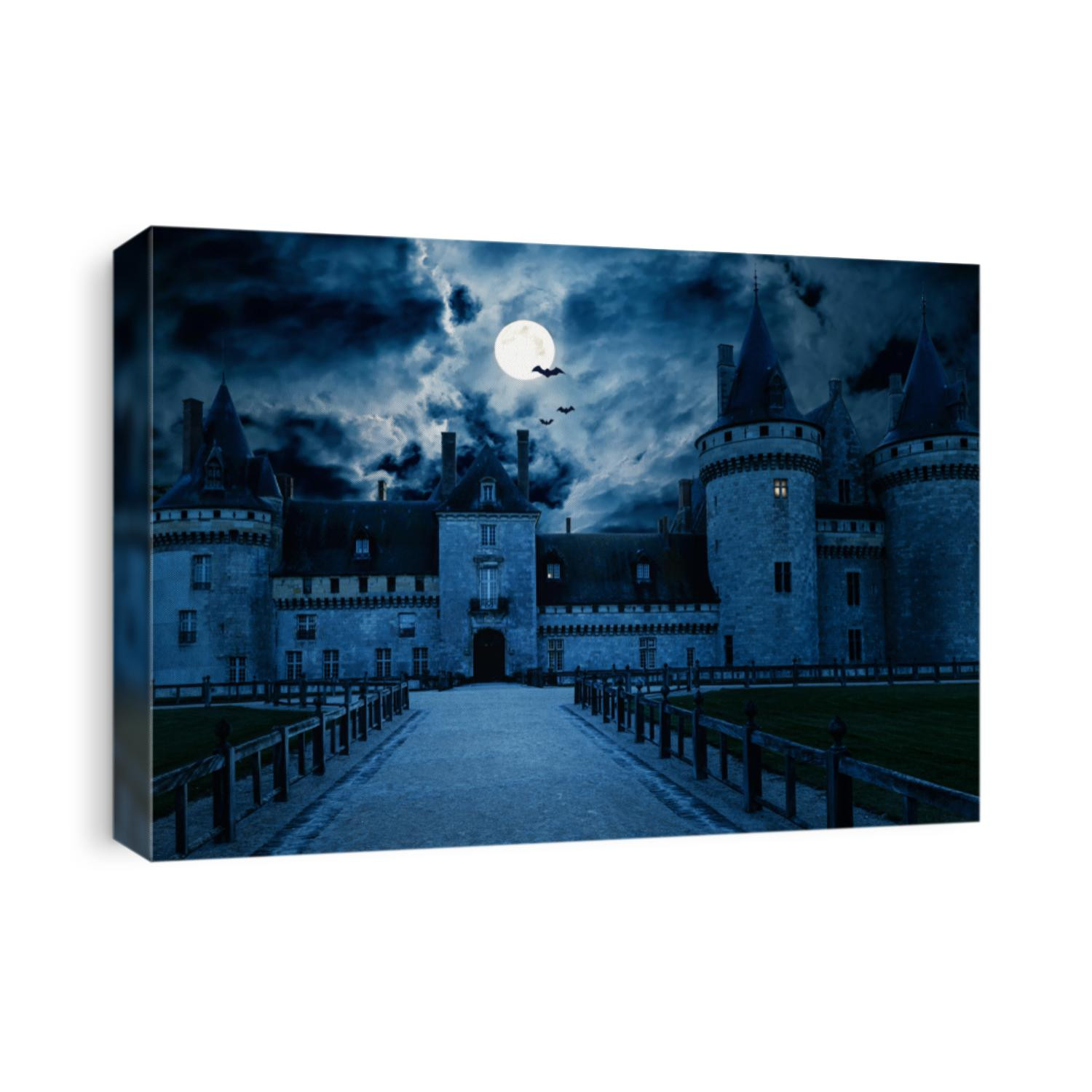 Haunted Gothic castle at night. Old spooky house in full moon. Creepy view of dark mystery castle with bats. Scary gloomy scene for Halloween theme. Horror and terror concept.