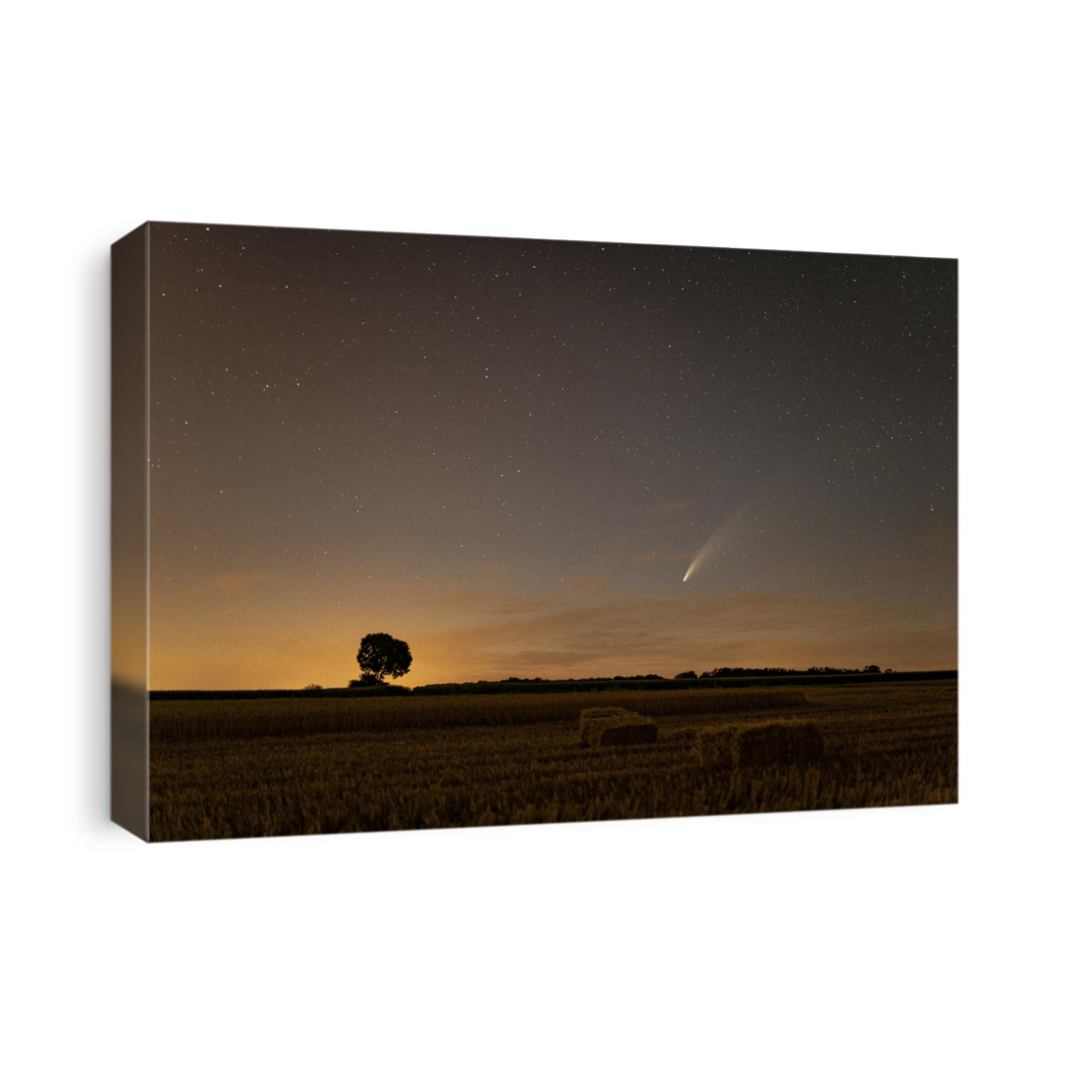 C / 2020 F3 comet (NEOWISE) at sunset with newborn Border in a wheat field and bales. At night between the stars is a bright comet and tail. Photographed in Hungary on July 14, 2020.