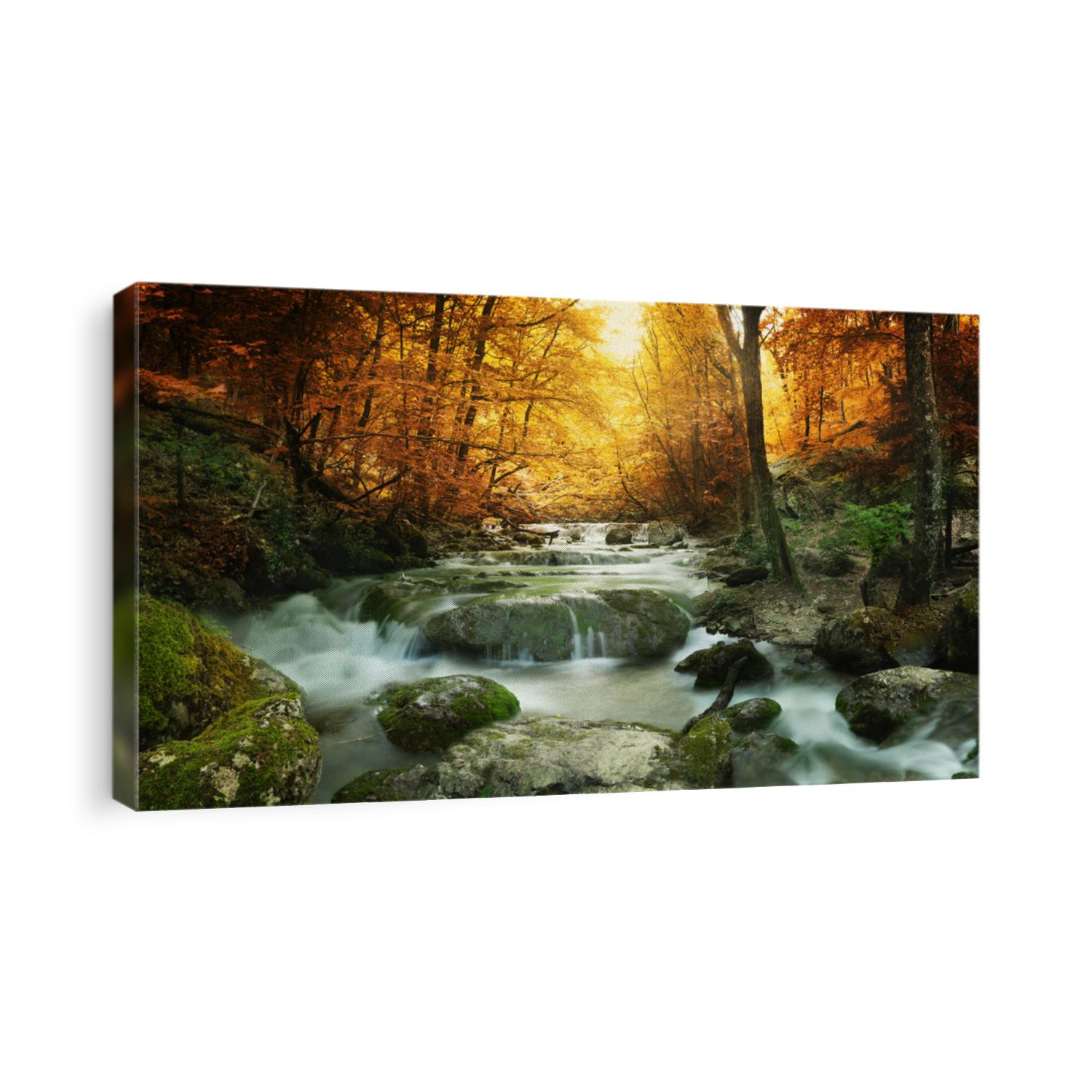 Autumn creek woods with yellow trees foliage and rocks in forest mountain.