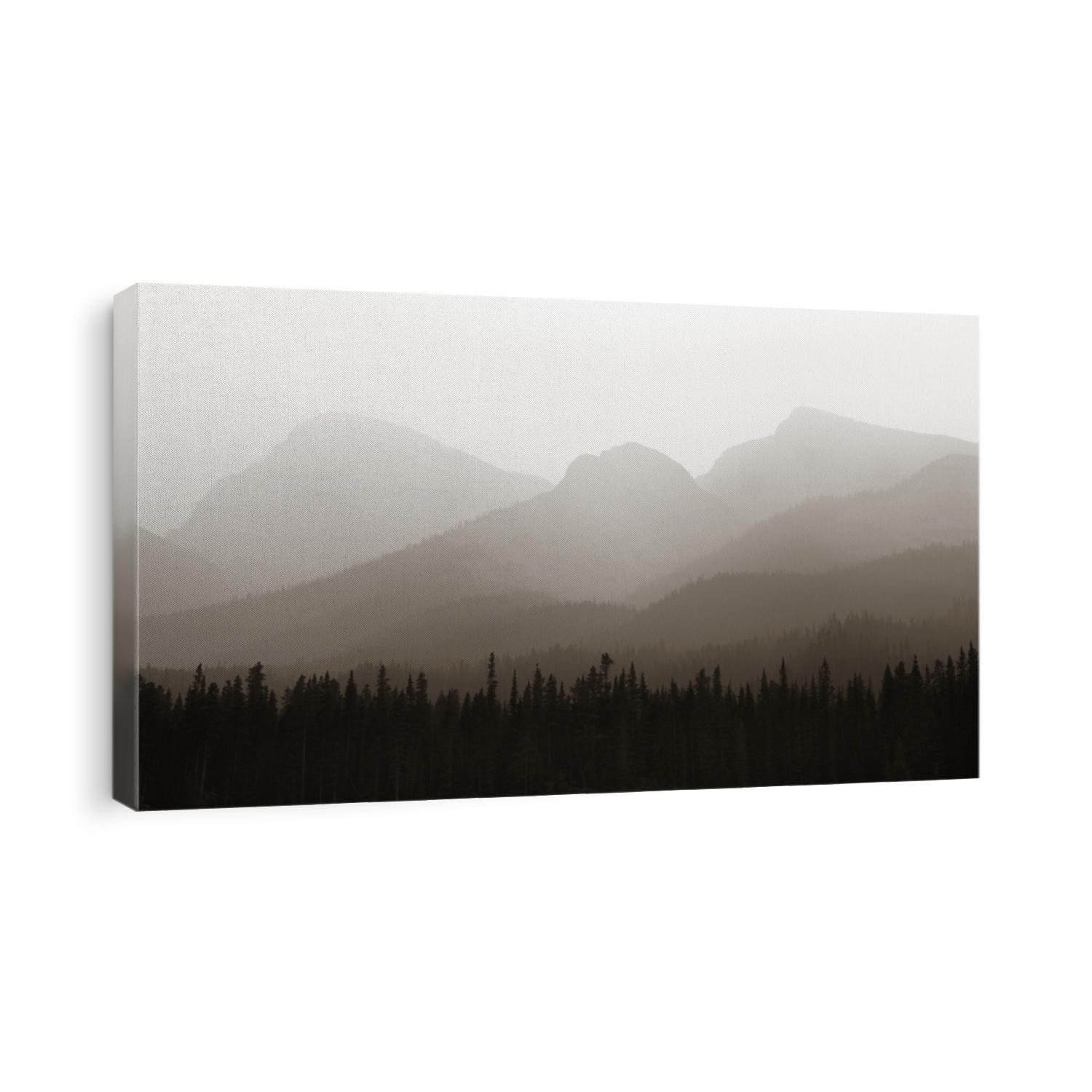 Foggy mountain forest in Banff National Park.