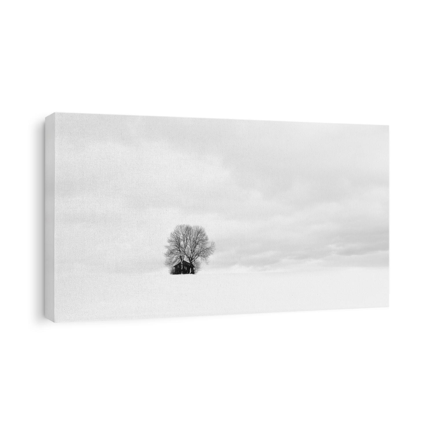 Lonely cabin and tree in winter. The snow and cloudy sky after a snow storm make a simple background for this winter landscape in Bavaria, Germany
