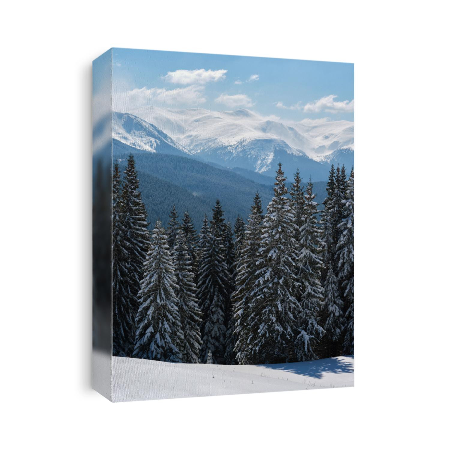 Winter landscape with high mountain hills covered with evergreen pine forest after heavy snowfall on cold wintry day.