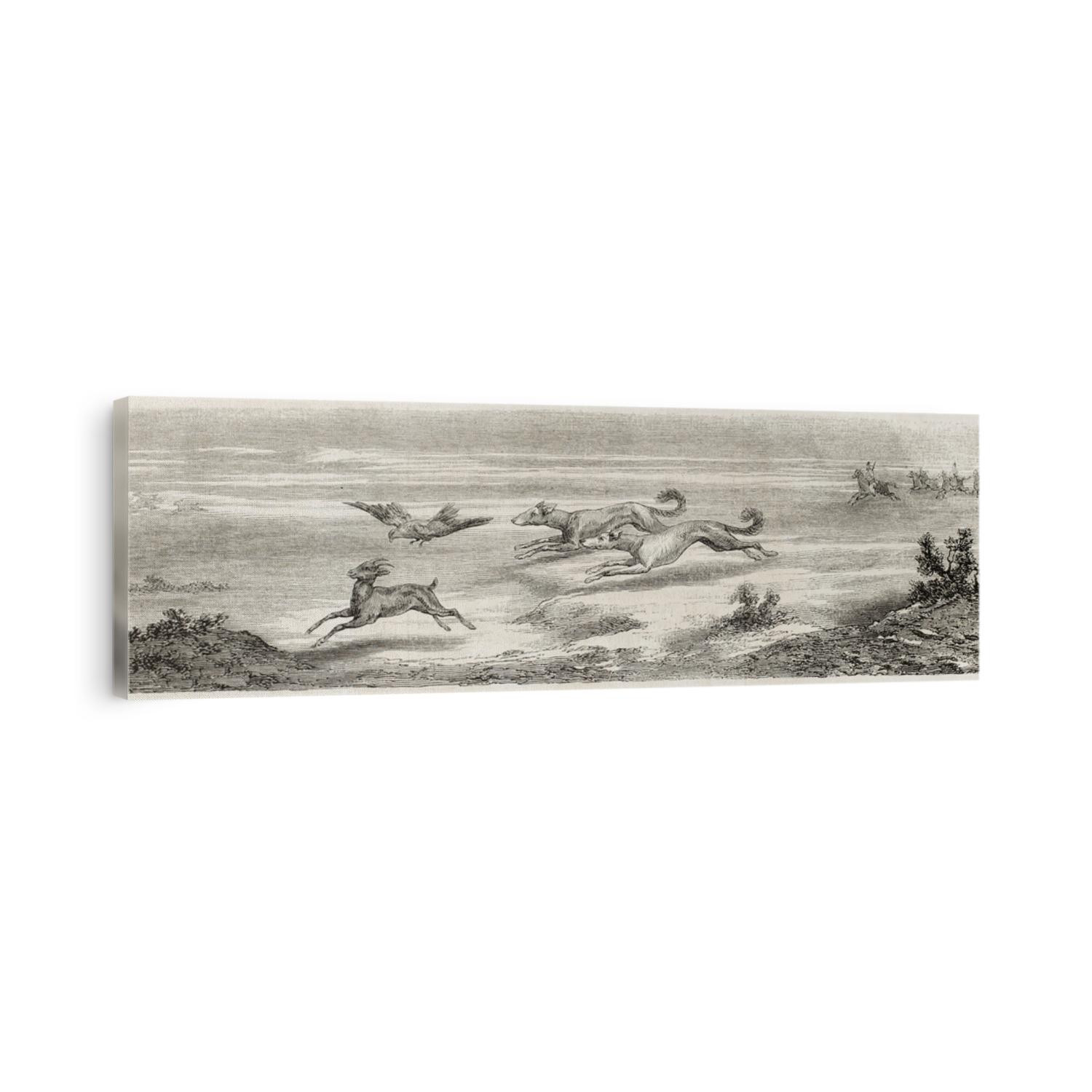 Gazelle hunting in Great Salt Desert, Persia, with falcon and kurdish greyhound. Created by Laurens, published on L'Illustration, Journal Universel, Paris, 1860