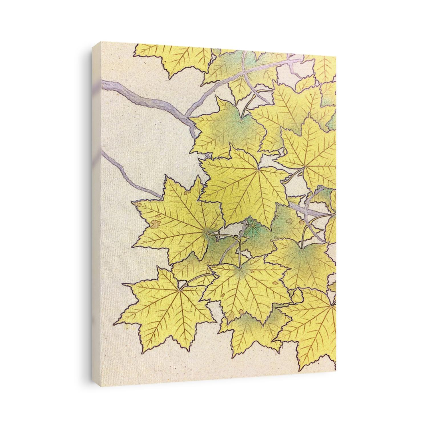 art plaint of yellow leave autumn texture pattern background