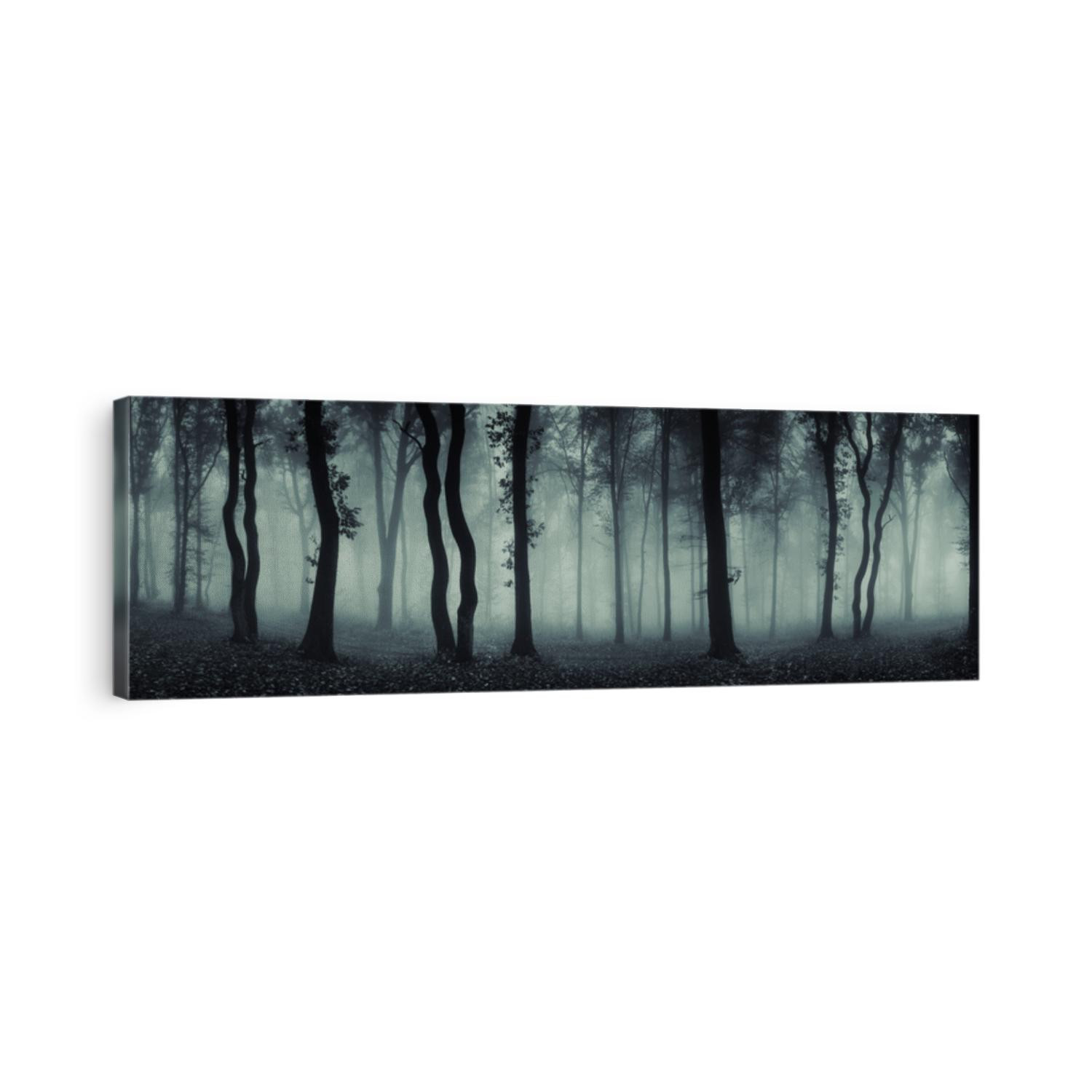 dark forest panorama fantasy landscape