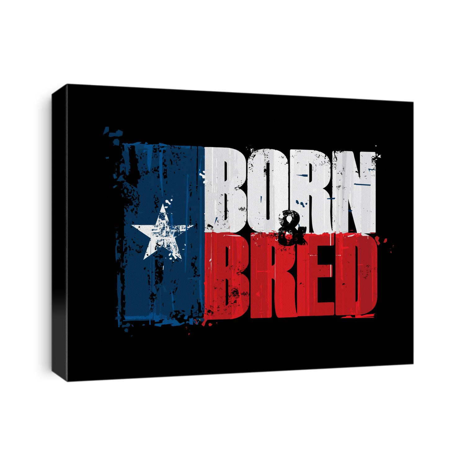 Grunge Textured Illustration of the phrase "Born and Bred" depicted as a Texan Flag. Custom Lettering