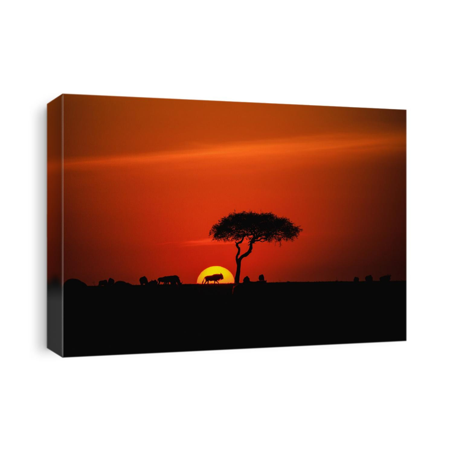 Wildebeest in the silhouette in the Masai Mara, Kenya