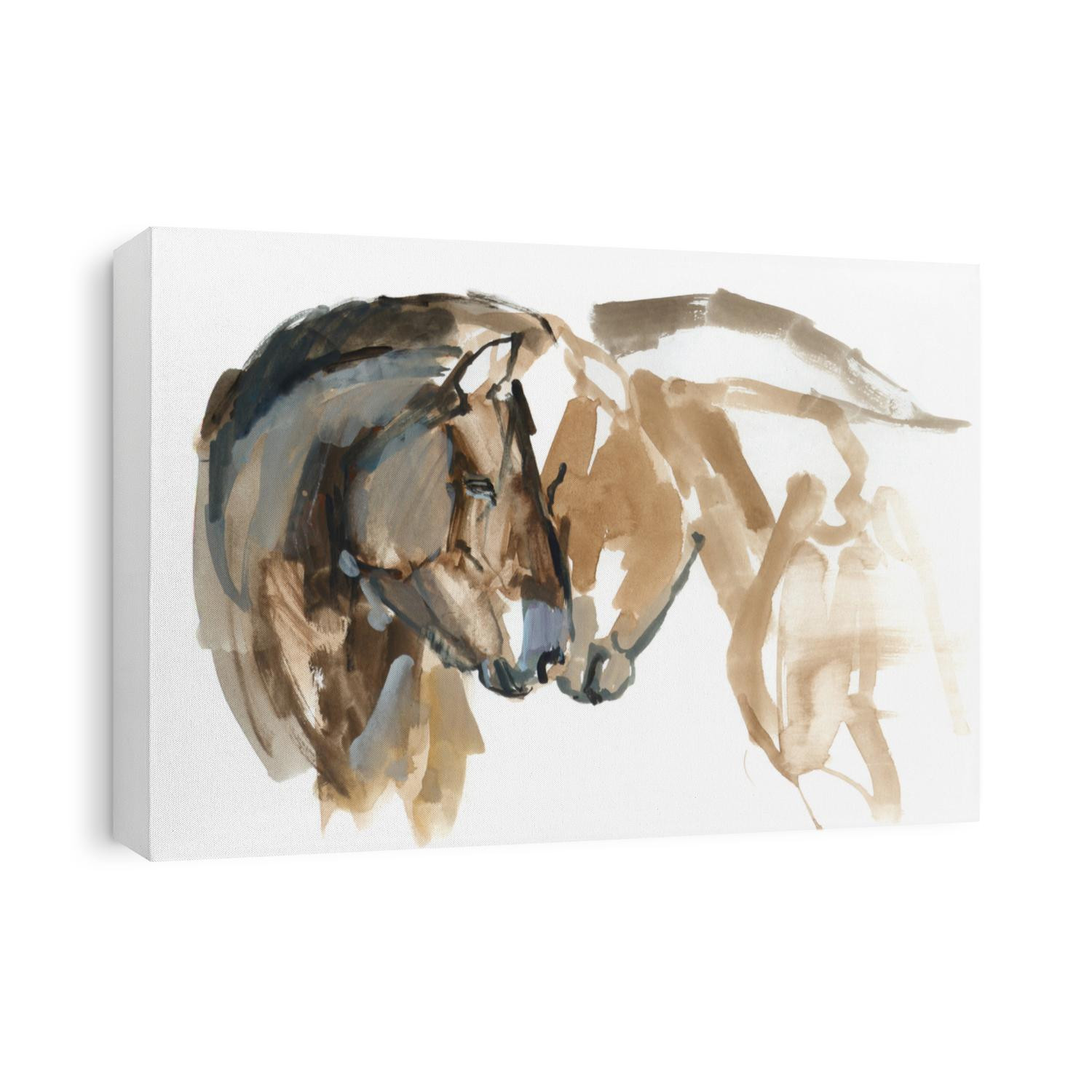 From the Przewalski Horses series, 2013.